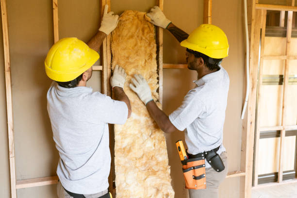 Best Attic Insulation Installation  in La Junta, CO